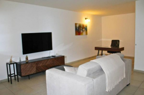 Appartement Bellepierre : Le spinelle scintillant (près CHU)